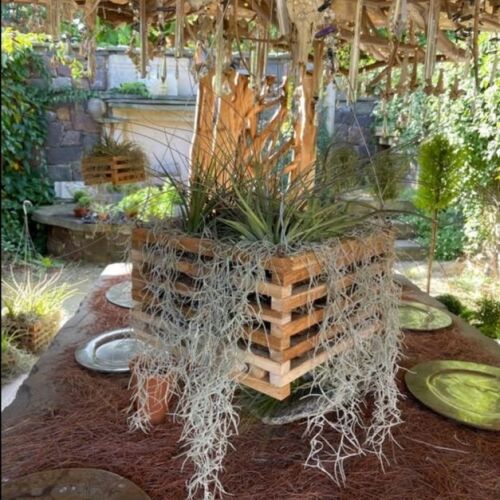 TEAK BASKET 8